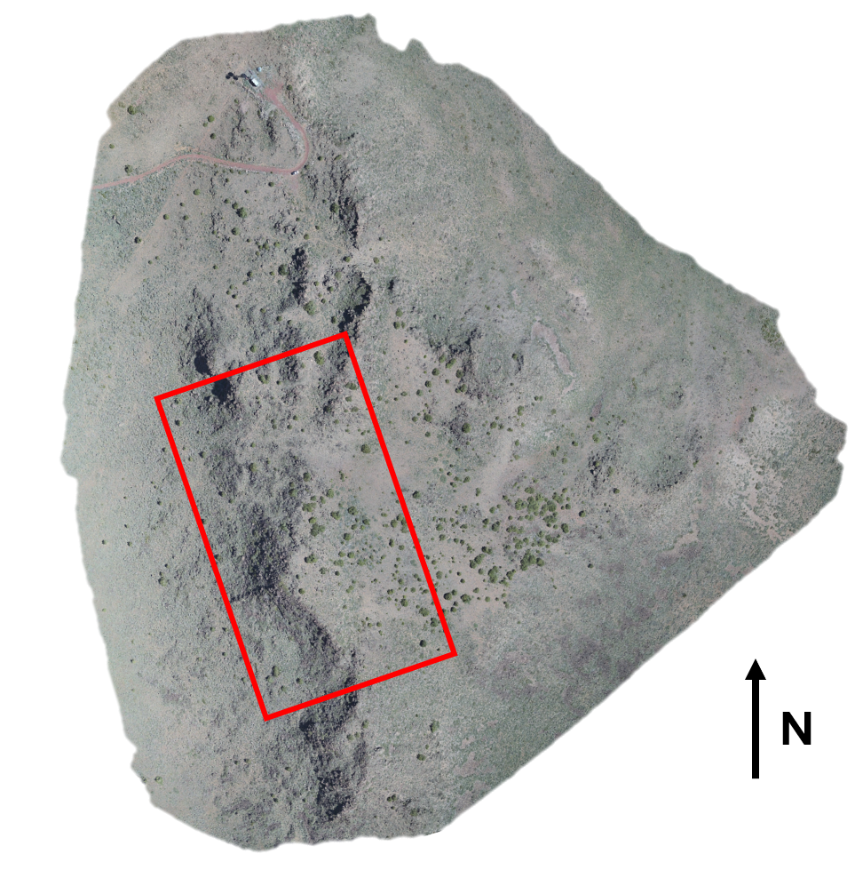 Study area within the Great Basin of Northern Nevada, the red rectangle indicates the specific area of interest we will be focusing on.